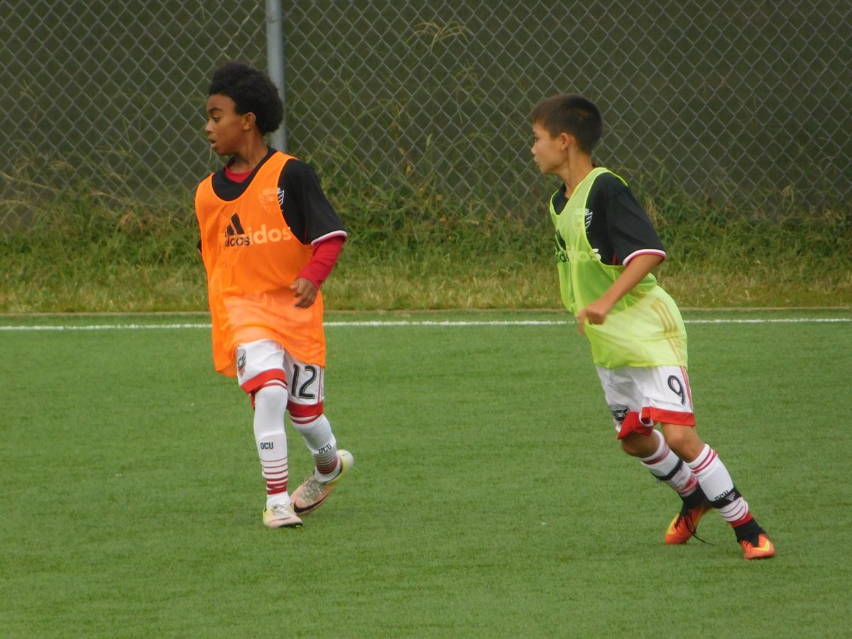 Sebastian tweet media