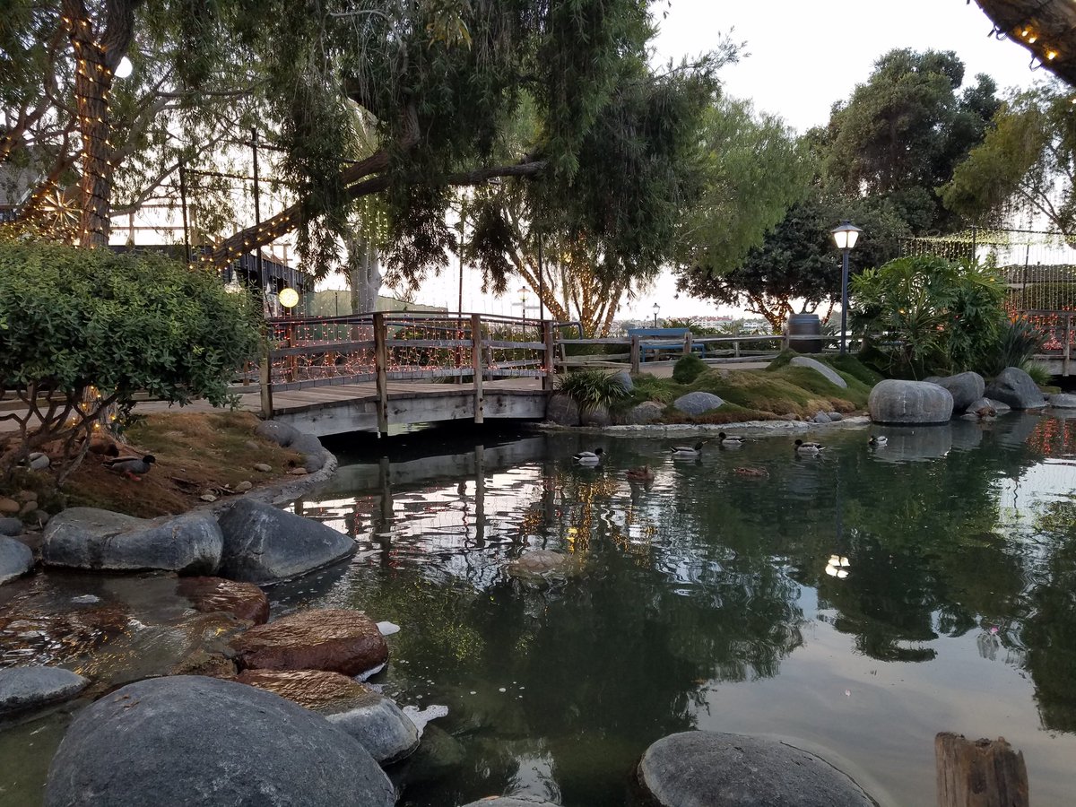 Morning wellness while at the @CSBA_Now #AEC in San Diego. The waterfall and ducks are just what I need! @CoreyKrisc