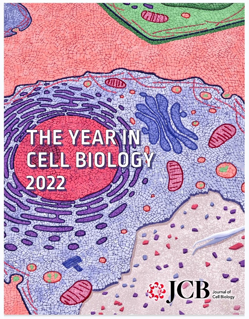 Comparto con ustedes los artículos de interes 2022 en Biología Celular
👇 rupress.org/collection/215…