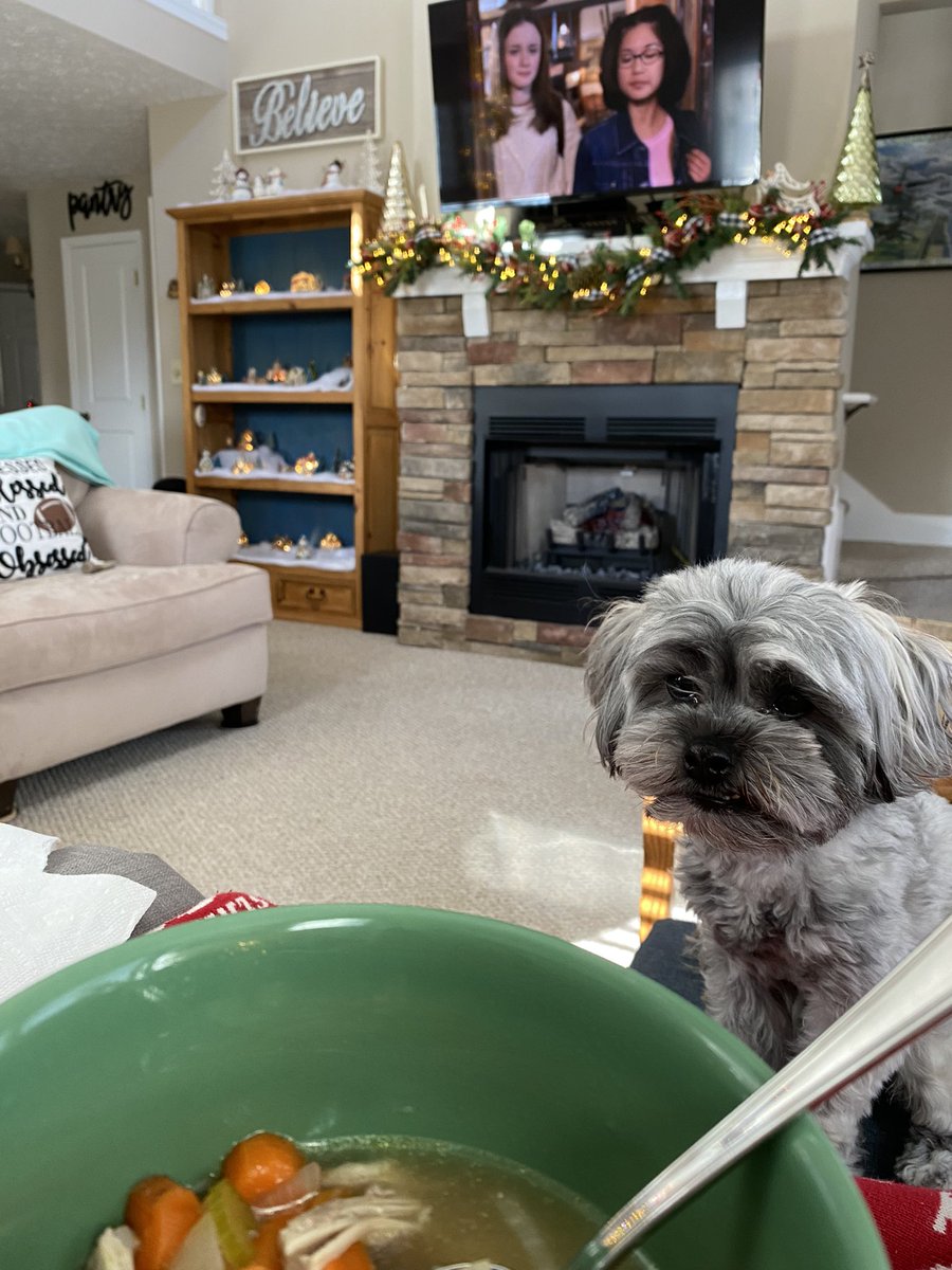 Well. Week 15 of #aplife didn’t happen <a href="/HardinPark_WCS/">Hardin Park</a>. Instead, it was made up of mom’s healing chicken soup, rest, Hallmark Christmas movies, Gilmore Girls, reading, Charlie snuggles, and more rest. Thankful for <a href="/NormanNormanp/">Phil Norman</a> &amp; @JB_Orange for holding the fort down.