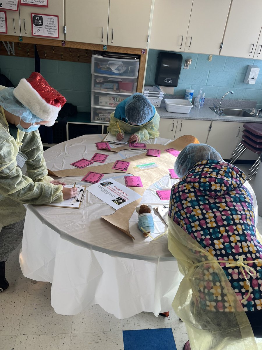 MrsLPTeaches's tweet photo. Our 5th graders got their emergency medical licenses so they could treat these math patients 🤩 @BullRunES https://t.co/81oC7eZIwB