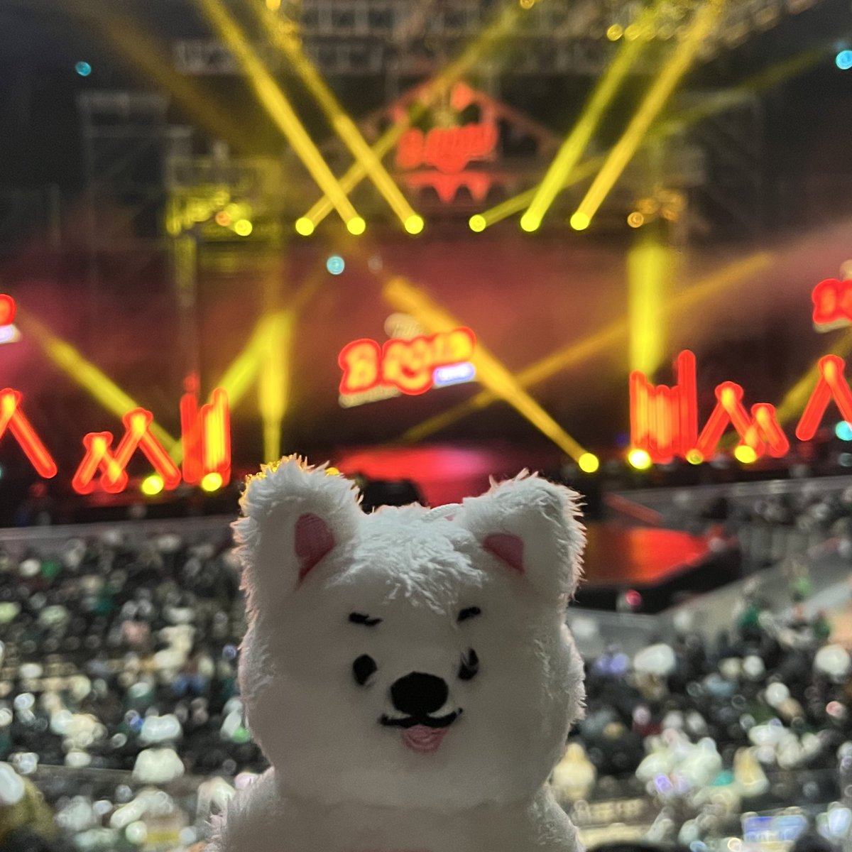 오랜만에 멍재외출〰
영재봐서 너무 행복했어요.....