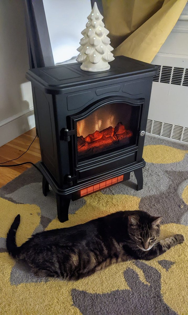 Lovin' himself some fine faux fireplace heat.

#CatsOfTwitter #CatsOnTwitter #Tabbytroupe