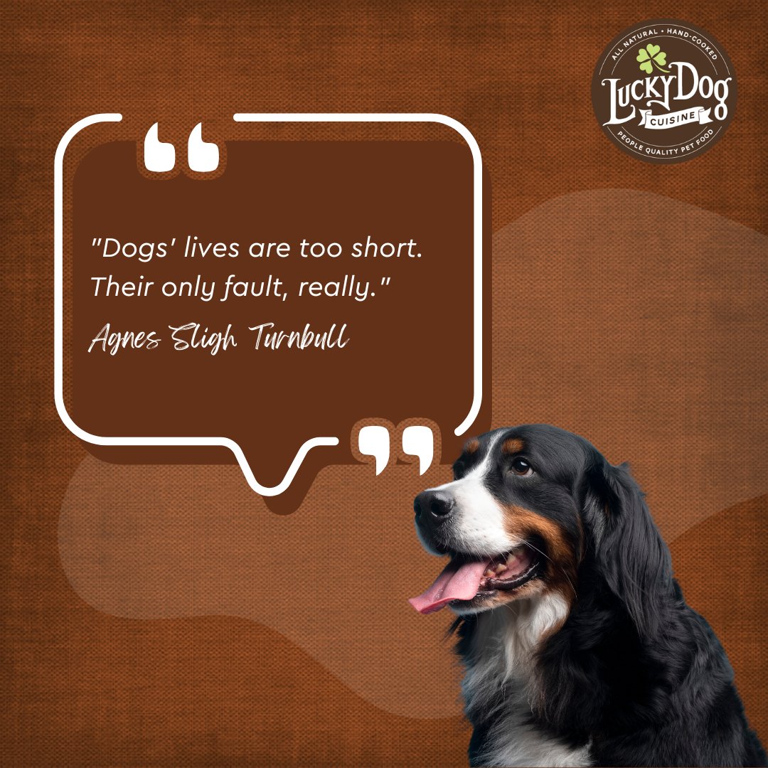Life is short, so make it count! 😁

Make sure your dogs are eating dog food that keeps them happy and healthy! 💚

Visit us luckydogcuisine.com 

#luckydogcuisine #luckydog #dogfood #healthydogfood