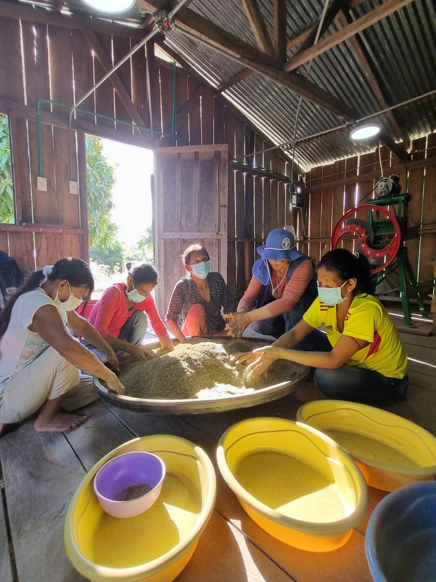 FAO_Colombia's tweet photo. La alimentación alternativa ofrece beneficios a la acuicultura a #PequeñaEscala 🐟 contribuye a la reducción de costos productivos y aprovecha recursos regionales disminuyendo las #pérdidasydesperdicios
#WECAF #COPACO #IYAFA #PIPDA
#DíaMundialdelaAcuicultura https://t.co/SPMLF70IMn