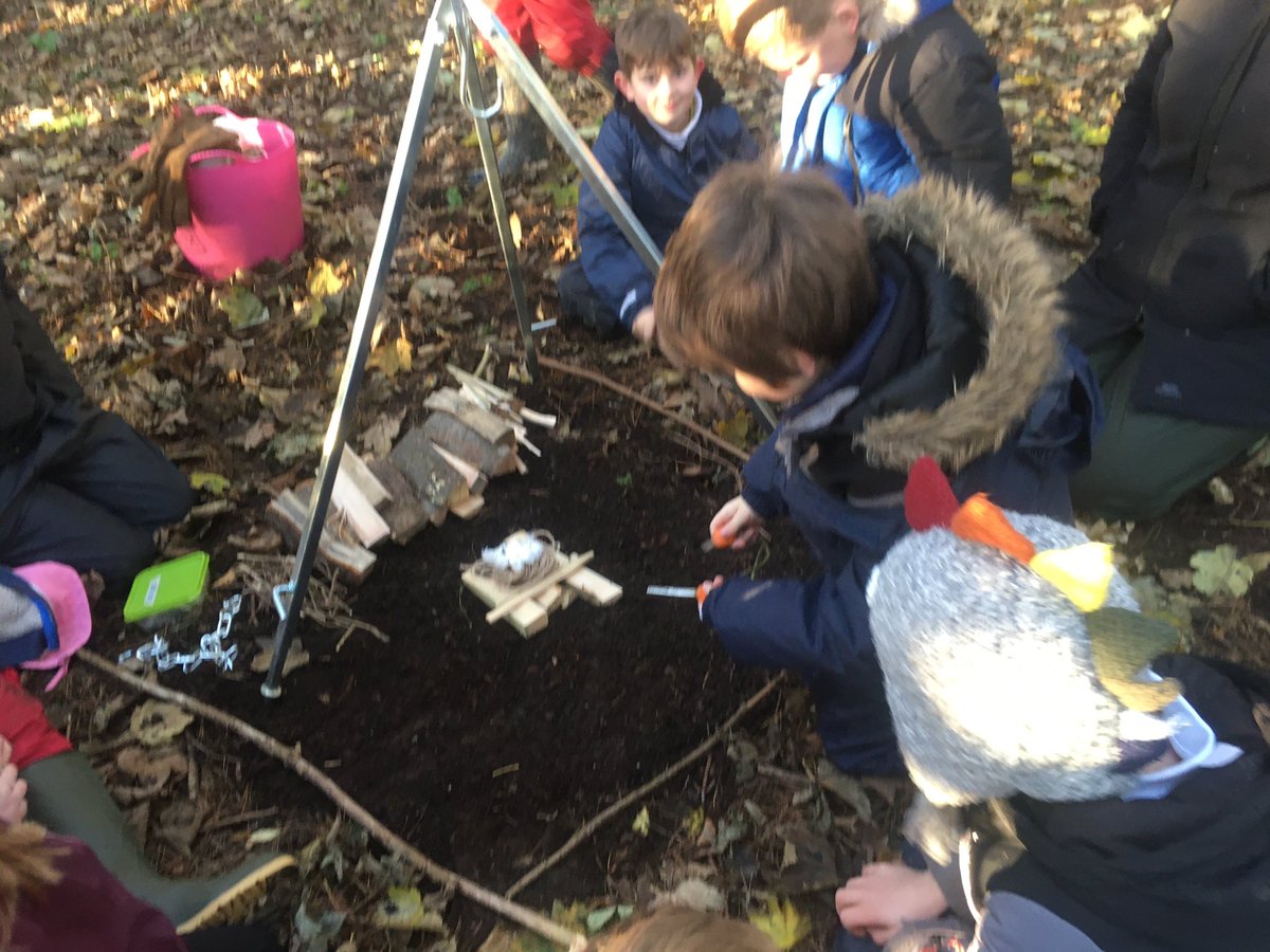 dpsforestschool tweet media