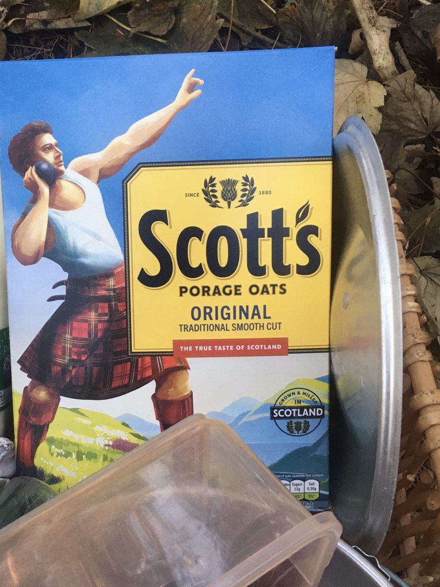 dpsforestschool tweet media