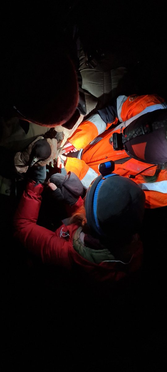 blackpetrelbiz's tweet photo. Night work - tākoketai/black petrels on Aotea... banding new birds and recapturing already banded birds... motoring population trends... #seabirds #research #permit #conservation #Aotea #Procellaria https://t.co/DWvVGKI3zv