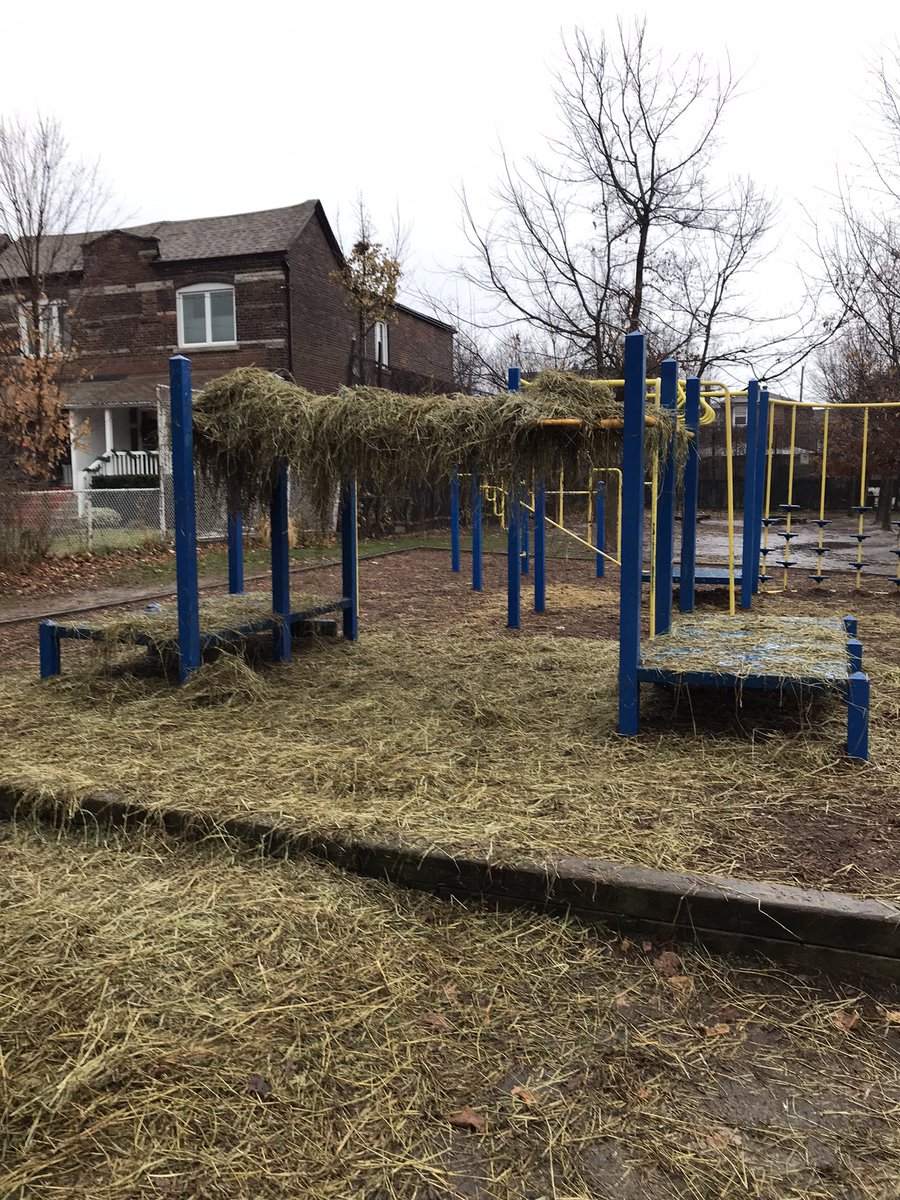 McMurrichJPS (@tdsb_mcmurrich) on Twitter photo Rainy day fun! Building a straw roof! Will it hold? <a href="/AHoward_tdsb/">Andrew Howard</a> <a href="/shelleylaskin/">Shelley Laskin π¨π¦</a> <a href="/McMurrichParent/">McMurrich Parents</a> Rainy day fun! Building a straw roof! Will it hold? <a href="/AHoward_tdsb/">Andrew Howard</a> <a href="/shelleylaskin/">Shelley Laskin π¨π¦</a> <a href="/McMurrichParent/">McMurrich Parents</a>