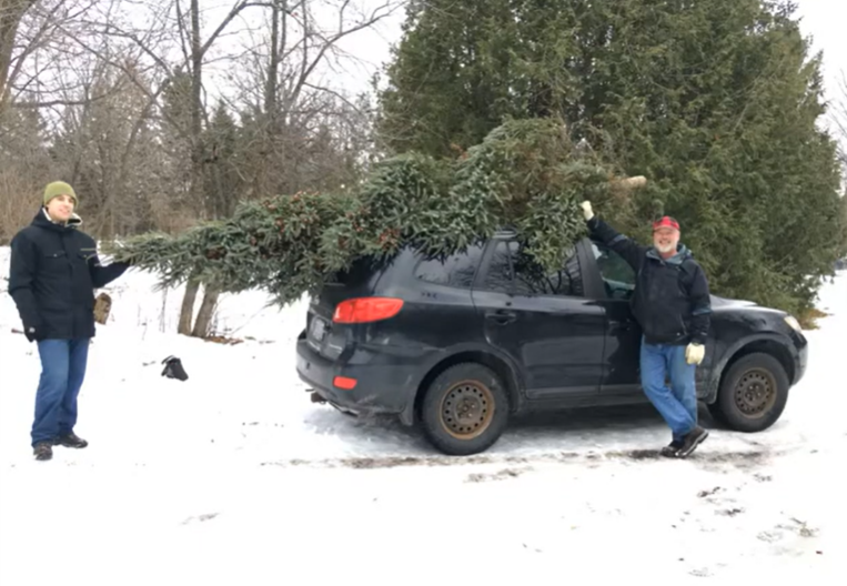 Don’t have your #Christmastree yet? You can’t beat the freshness of a cut-your-own tree. Here’s where to find them and how to cut and care for them. bit.ly/2DZQXLb