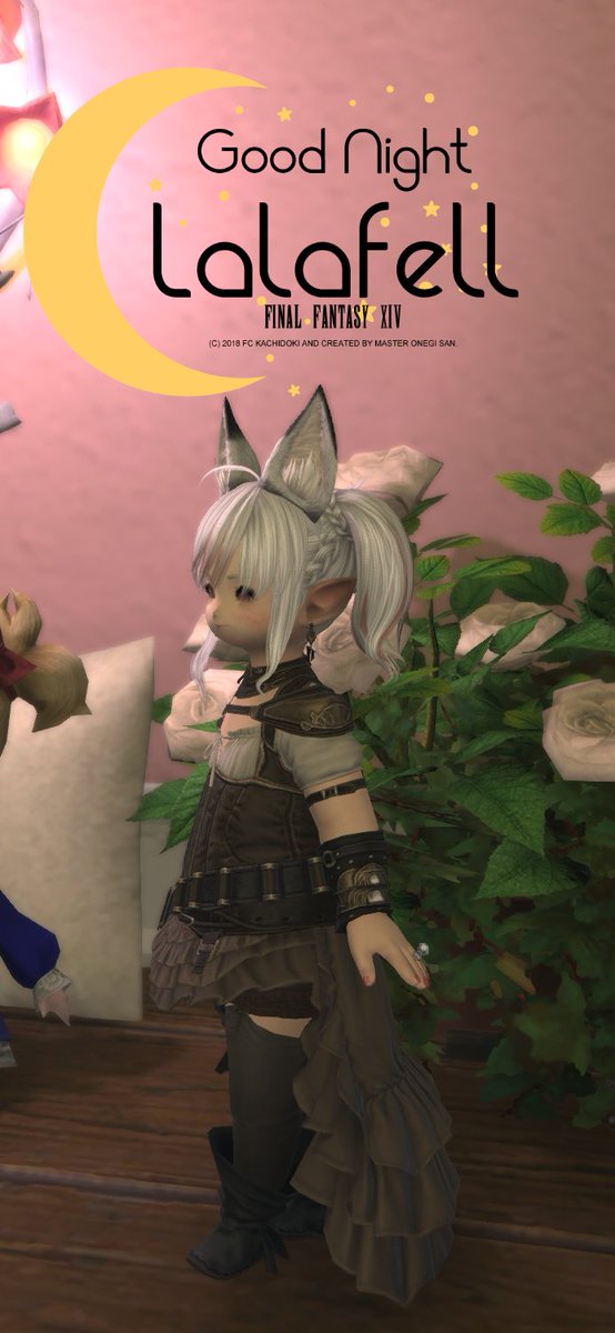 天然ゆきつき🐈 tweet media
