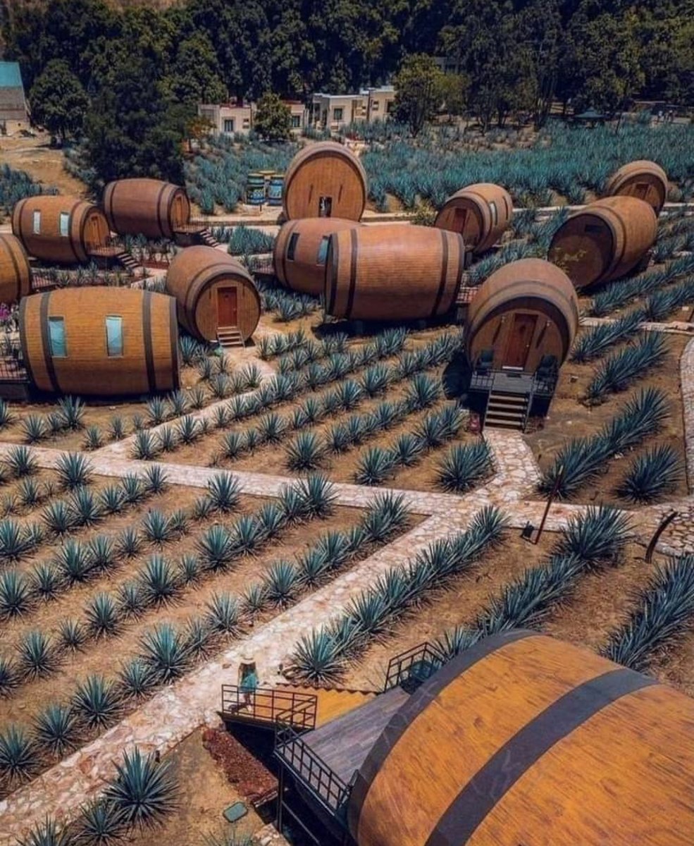 Brian Roemmele on Twitter "Tequila Barrel Hotel at Jalisco, Mexico."