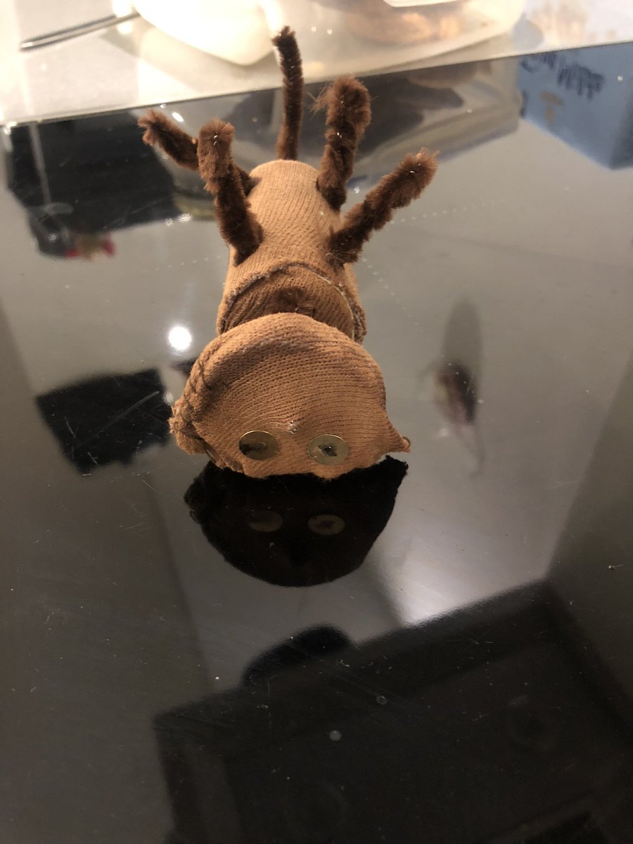 Frau Stets-Sehr-Bemüht tweet media