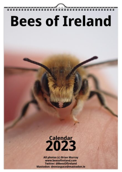 My Bees of Ireland Calendar 2023 is now available, if you want to discover Irish bees you've probably not even seen in real life... this is the perfect opportunity!

beesofireland.com/product/bees-o…