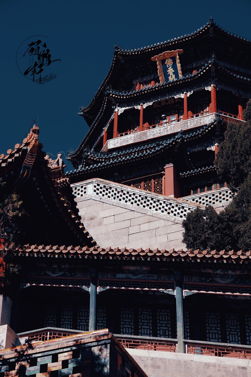 guhexuan2's tweet photo. 回昆明了，照片找我，私房，绳艺…… https://t.co/8KUJlsL6Hl
