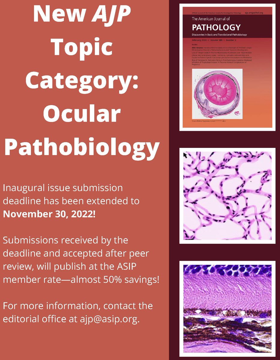 DEADLINE TODAY!

The #OcularPathobiology #Callforpapers concludes November 30, 2022 so get your investigations in ASAP!  Submission is FREE for all article types and we would love to see your original research into ocular diseases!

editorialmanager.com/ajpa/default2.…