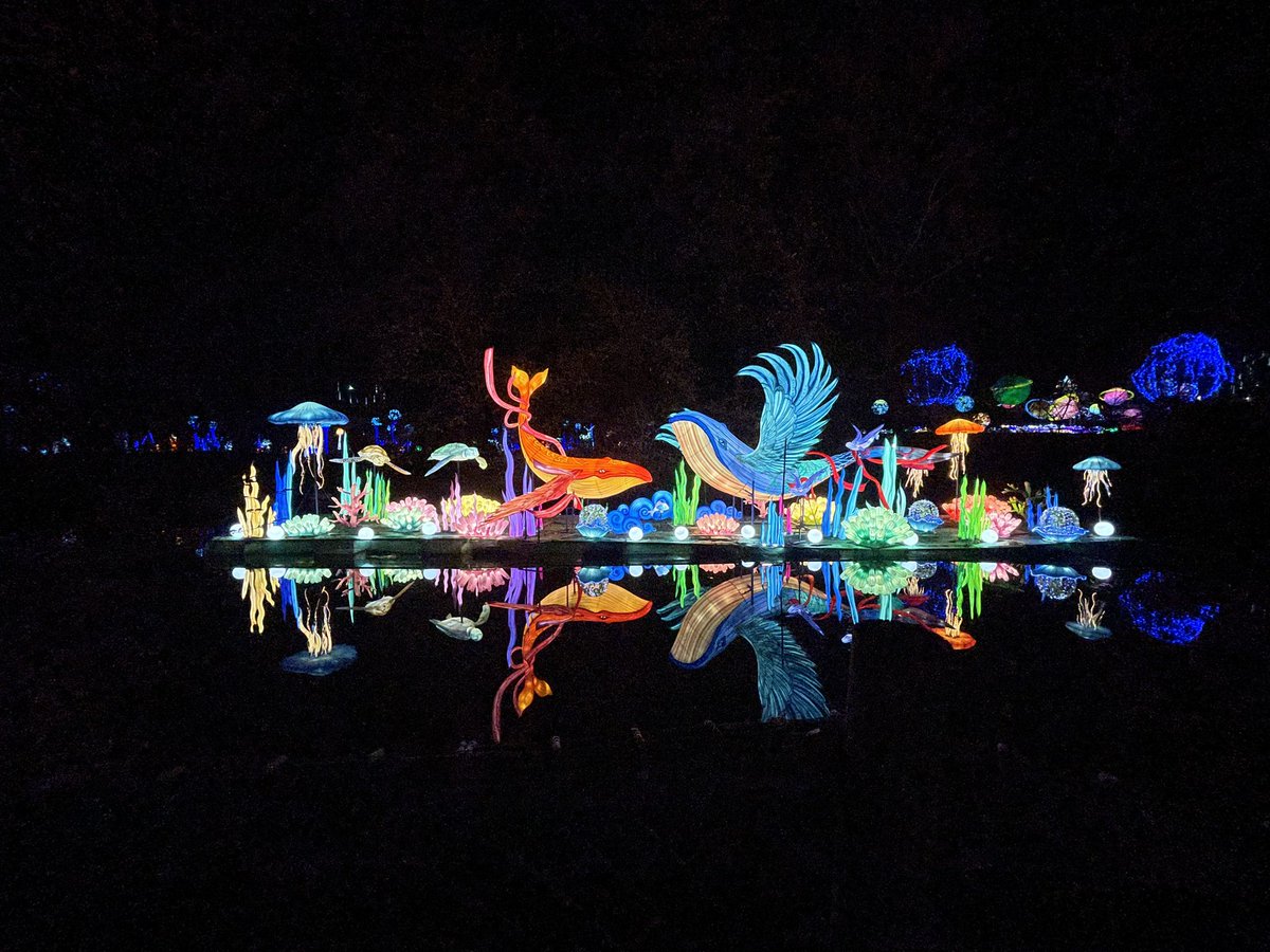 SergPosts's tweet image. 11 out of 12