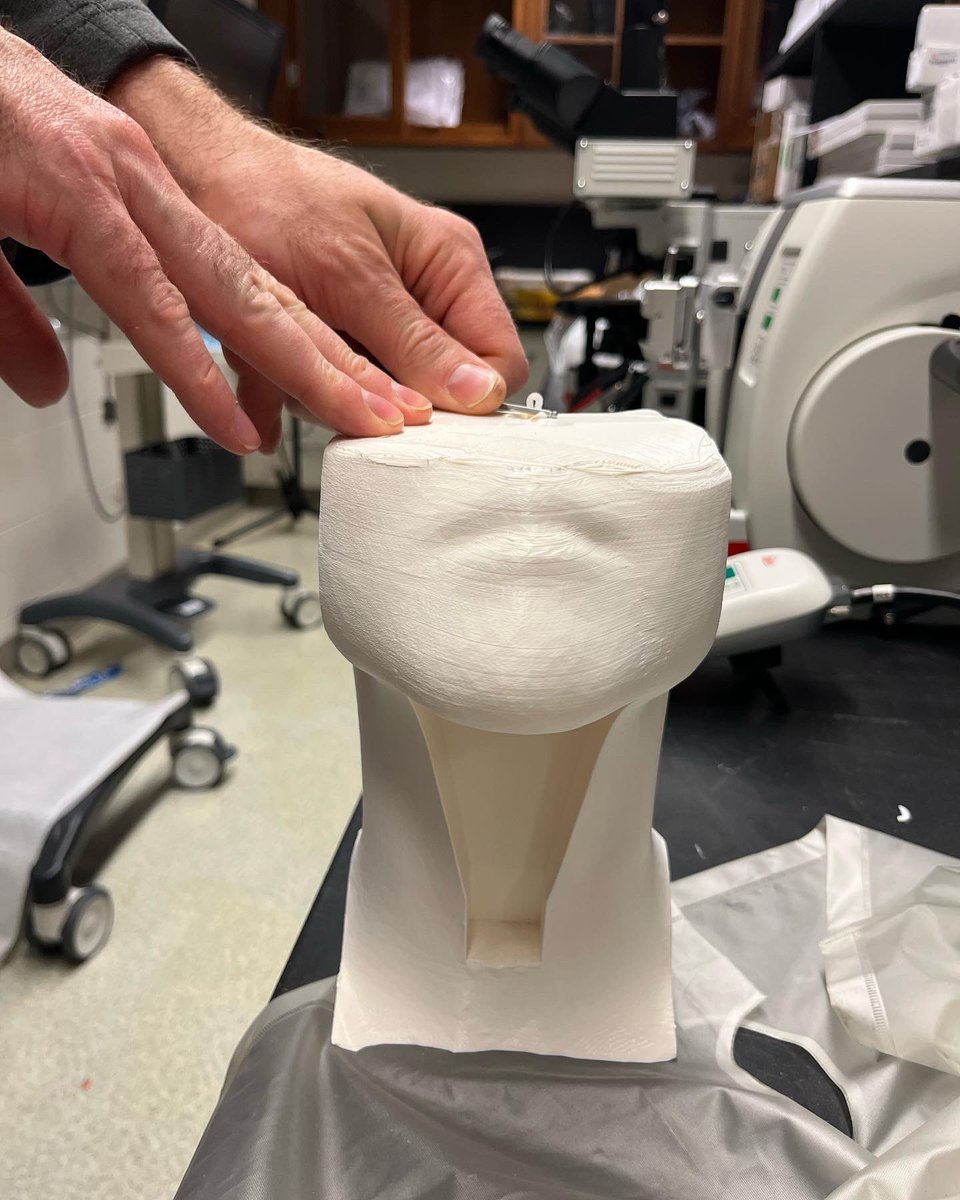 gregmd_cincy's tweet photo. 3D head and larynx models for teaching our residents @cincy_ent and research tools used for better patient outcomes. #DionLab #cincinnati #laryngology #inscienceliveshope🔬 #ent @CincyENT @UCincyMedicine @UC_CoMResearch https://t.co/3AotBtSR8a