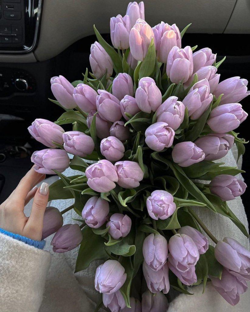 contexthuzur's tweet photo. Aşırı güzel değiller mi ? 💜 https://t.co/pQctGEPDBC