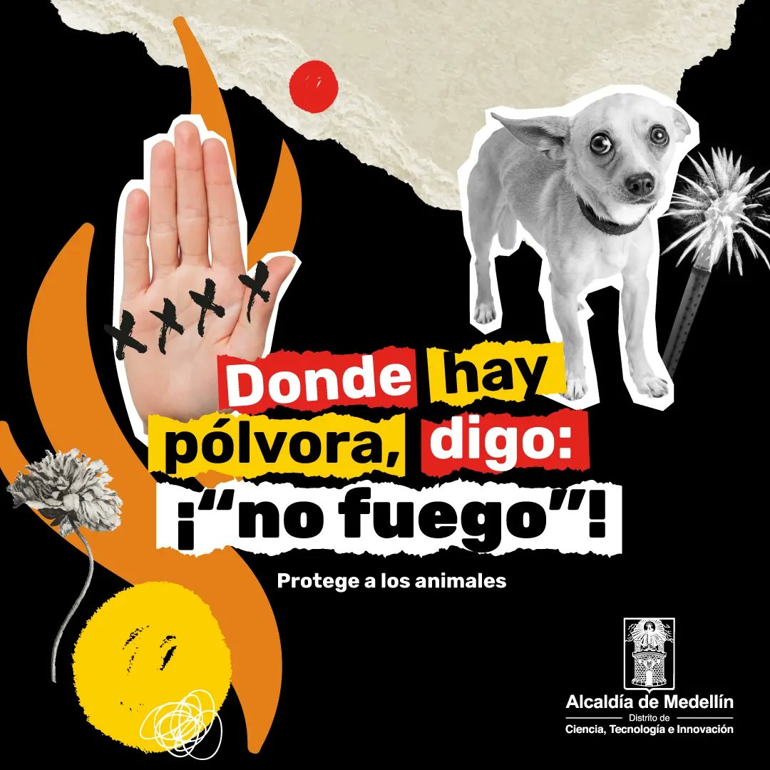 AlcaldiadeMed's tweet image. Hagamos que nuestra Navidad 🎄 sea una época llena de momentos especiales para recordar con amor y tranquilidad, por eso a la pólvora #DigoNoFuego 🚫💥.
