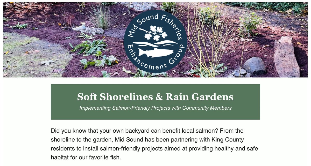 midsoundfish's tweet photo. You can ensure that salmon habitat on private property can be restored and protected - and that families who want to do the right thing by salmon have someone to turn to for answers. To help, consider a tax-deductible donation during this season of giving.
https://t.co/X3ze62URFP https://t.co/0TljQZ57me