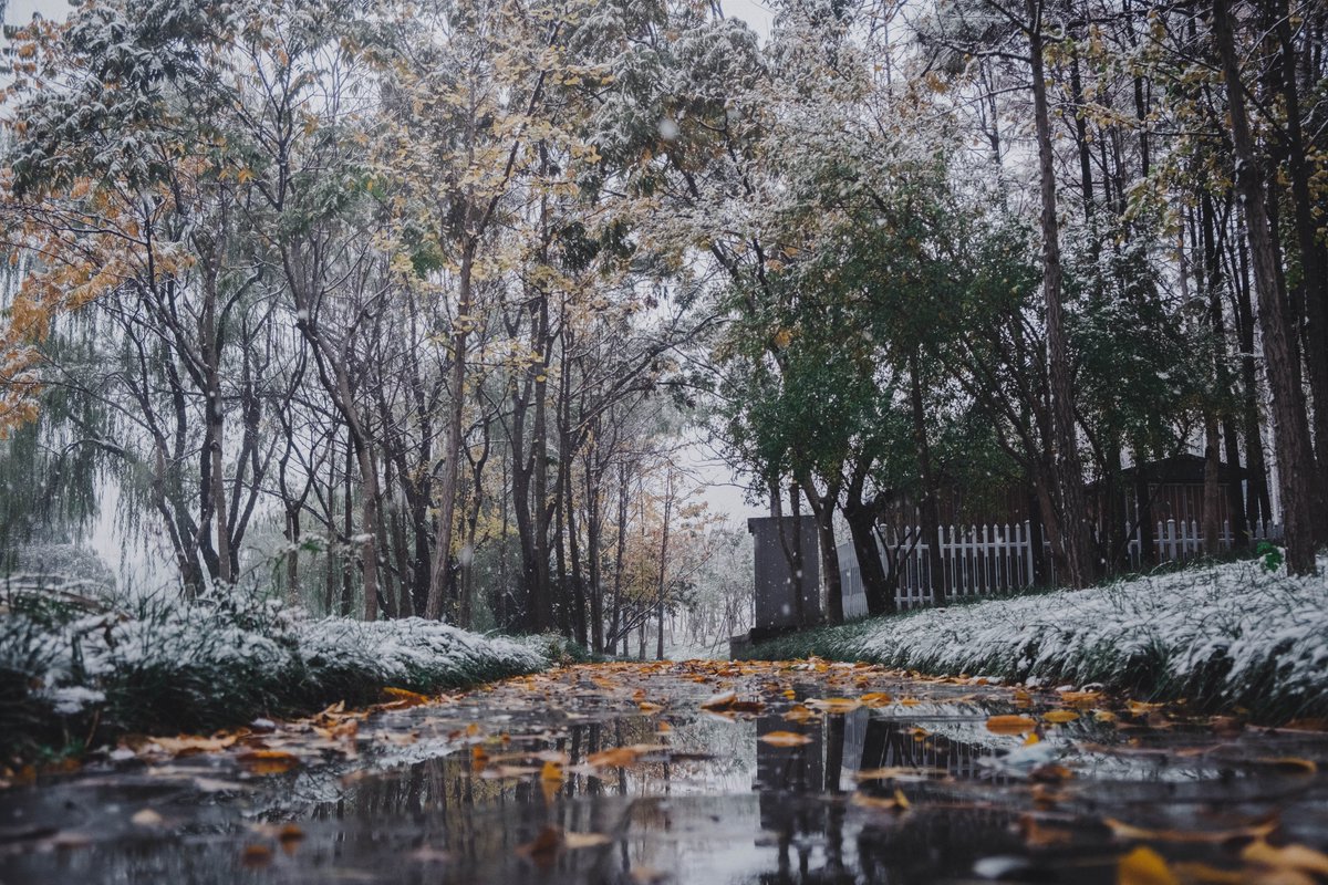 Lmbsssss's tweet photo. 雪天2 #摄影 #photography #PhotoOfTheDay #杭州 #中国 #街拍 https://t.co/9TVGLhbIGh