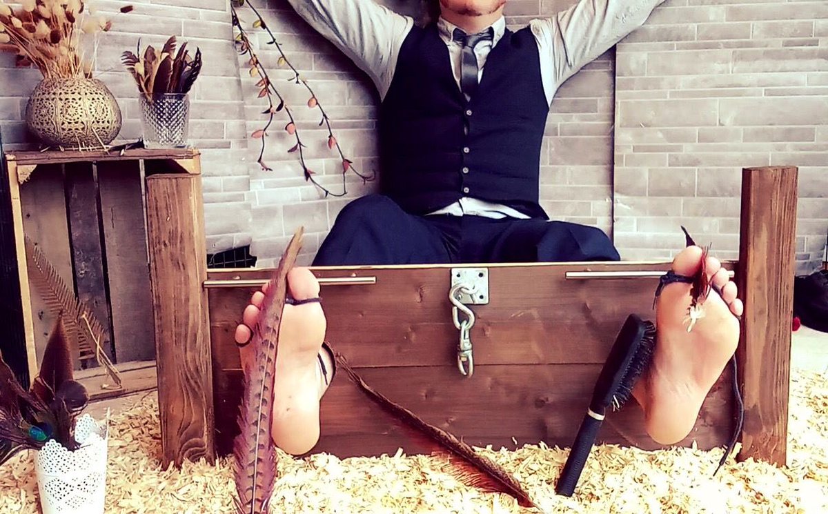 tklguys on Twitter "Poor guy is all dressed up and nowhere to go