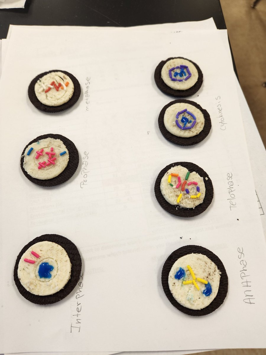 Crystal M. Chio tweet media