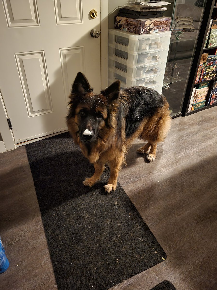 ButtonsTheFloof tweet picture