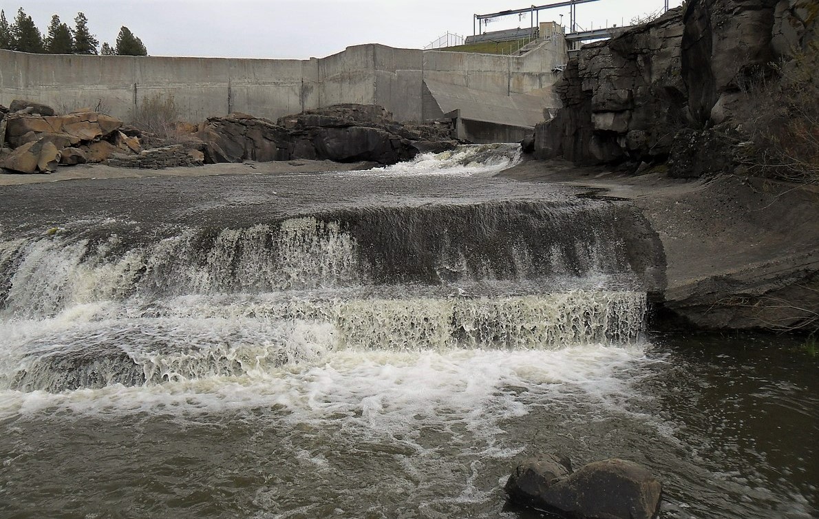 The largest dam removal and salmon restoration project in history has California tribes celebrating. Today on @180099Native, Shawn Spruce speaks with @TheKarukTribe chairman Russell 'Buster' Attebery and Charley Reed from @savecalisalmon. nativeamericacalling.com/wednesday-nove…