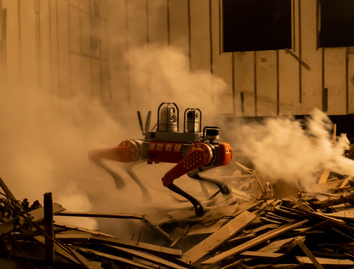 IrvingRobotics's tweet image. NEW B1 robot Coming.
Combine with HD cameras, infrared, panoramic 360 degree cameras, sonic receivers, microphones, 3D lidar, Robotics Arm Etc.
Improve Efficiency &amp;amp; Reduce Costs, incrementally.

Expecting Partners &amp;amp; Distributors all over the world.

#robotics #UNITREE #LEGROBOT