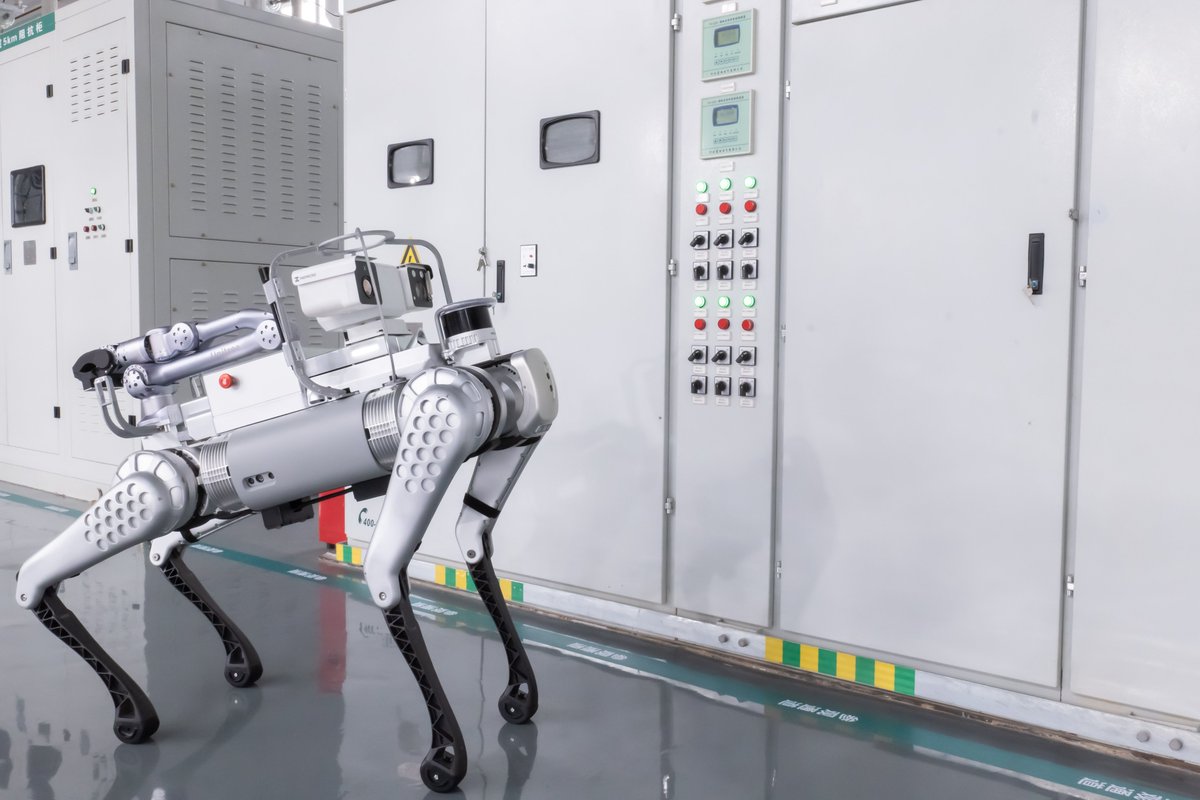 IrvingRobotics's tweet image. NEW B1 robot Coming.
Combine with HD cameras, infrared, panoramic 360 degree cameras, sonic receivers, microphones, 3D lidar, Robotics Arm Etc.
Improve Efficiency &amp;amp; Reduce Costs, incrementally.

Expecting Partners &amp;amp; Distributors all over the world.

#robotics #UNITREE #LEGROBOT