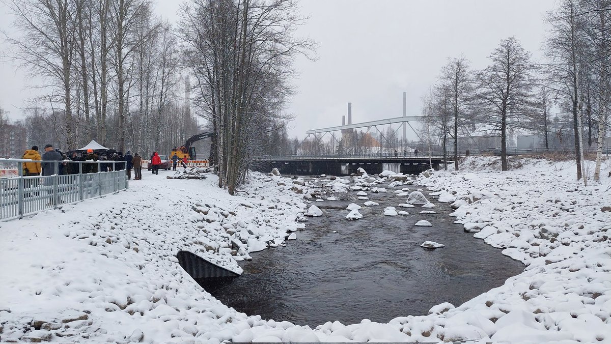 pohjoissavo's tweet photo. Suomen suurin luonnonmukainen 🐟🐟 ohitusuoma on avattu koskijuhlassa Varkaudessa. Ämmäkoskesta tuli ainutlaatuinen suunnannäyttäjä! Kiitos @WWFSuomi @cityofvarkaus @storaensosuomi @mmm_fi @POSELYkeskus @RudusOy #finnforel #navitas, Urheilukalastajat ja P-Haukiveden osakaskunta. https://t.co/QdVAFHqKsp