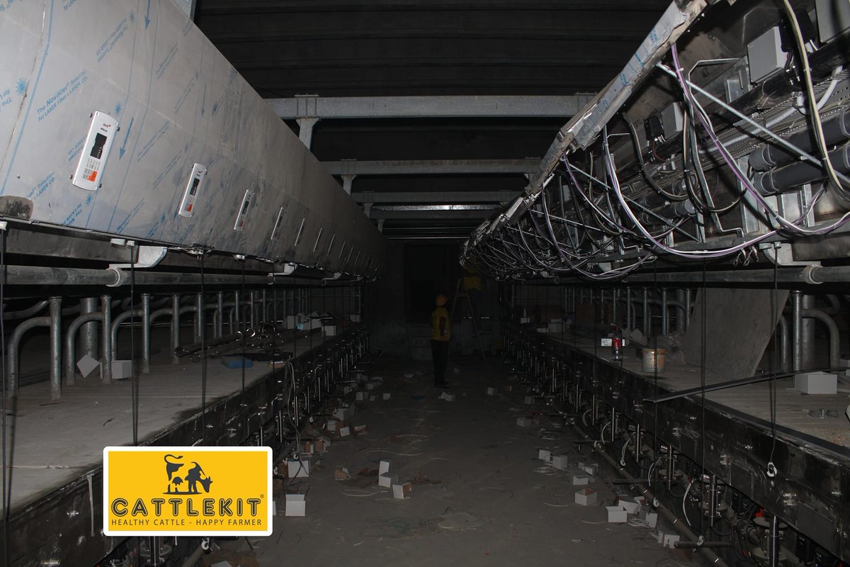 CattlekitP's tweet photo. Installation of 2/20 fully automatic Panazoo fast exist milking parlour with automatic mastitis detection technology along with milk temperature and herd management.
#cattlekit #pakistan #dairy #MilkingMachine
@DCFAPakistan @kissan_pakistan @JassarAftab @pda_pk @CDFA_Pakistan https://t.co/R2et9S90u2
