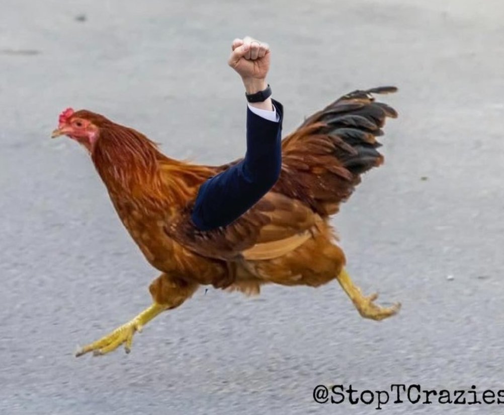 iam_seanbond's tweet photo. @axidentaliberal @HawleyMO @Apple #ChickenRunner https://t.co/6VsjMApgob