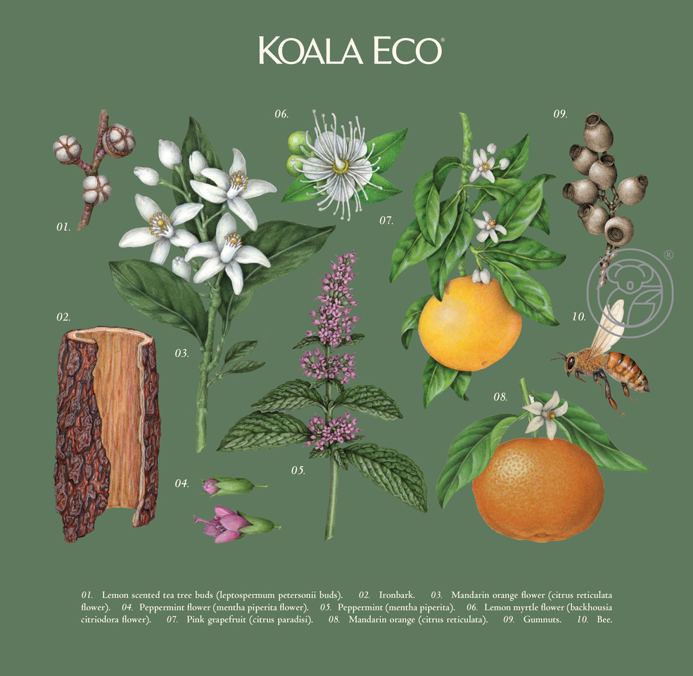 World Brand Design Society (@worldbrandesign) on Twitter photo Glasfurd & Walker <a href="/glasfurdwalker/">Glasfurd & Walker</a> - Koala Eco’s Holiday Gift Boxes Are Adorned With Botanical Illustrations That Make For An Enchanting And Uplifting Gift worldbranddesign.com/koala-ecos-hol…
.
#illustration #packaging #packagingdesign #graphicdesign #typography #worldbranddesign Glasfurd & Walker <a href="/glasfurdwalker/">Glasfurd & Walker</a> - Koala Eco’s Holiday Gift Boxes Are Adorned With Botanical Illustrations That Make For An Enchanting And Uplifting Gift worldbranddesign.com/koala-ecos-hol…
.
#illustration #packaging #packagingdesign #graphicdesign #typography #worldbranddesign