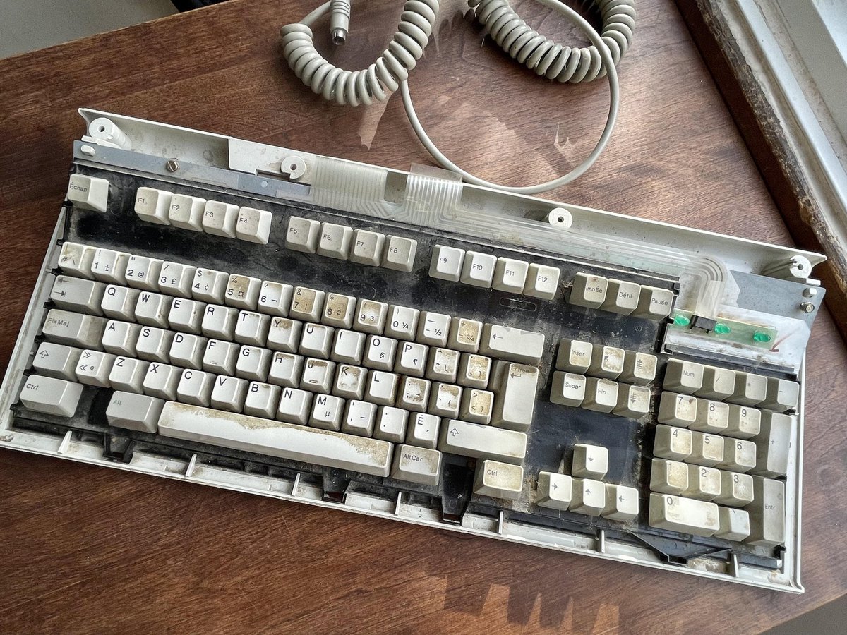 KeyboardPrn's tweet photo. Post by u//monsieurjules 🔥 https://t.co/uBNXZjmj9x