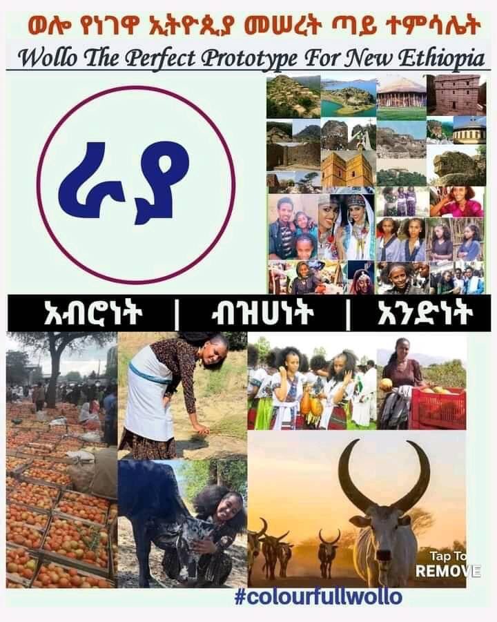 BintWollo's tweet photo. ወሎራያ 🇪🇹❤️

በወሎ ህዝብ ልቦና ውስጥ ሰው ሆኖ የተፈጠረ ሁሉ እኩል ሚዛን ላይ ይወድቃል። 

#ColourfullWollo
#WolloThePerfectPrototypeForNewEthiopia https://t.co/cgYeXp1BvB
