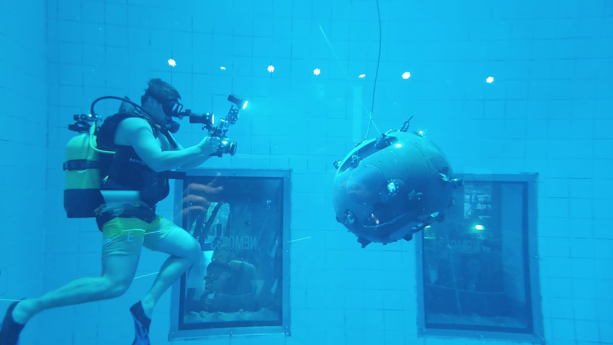 Ana Pires tweet media