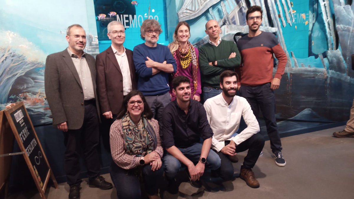 Ana Pires tweet media