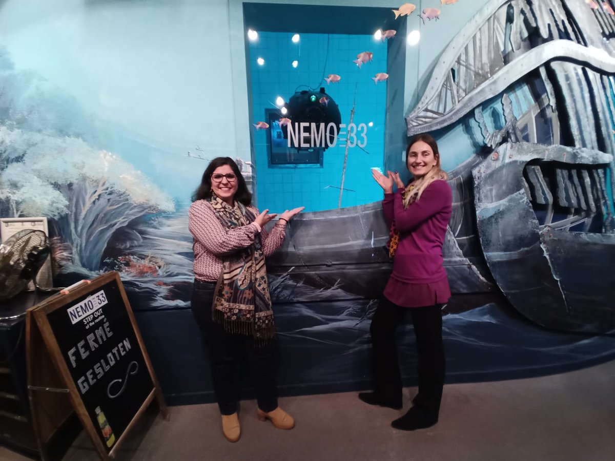 Ana Pires tweet media