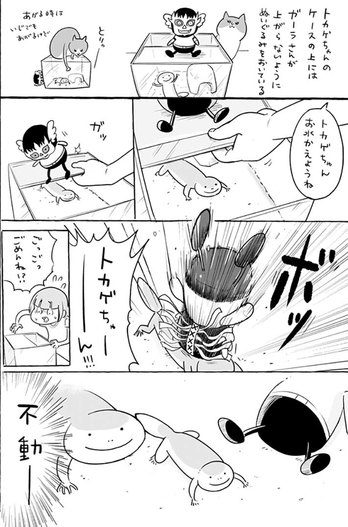 落下したぬいぐるみがトカゲちゃんを直撃! 慌てて退かすと? https://t.co/6wslXSyqER @grapeejpより 