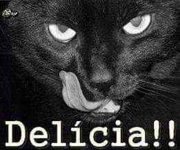 mello_genilson's tweet photo. @ArthurSamuelFil https://t.co/0vYVywPwpu
