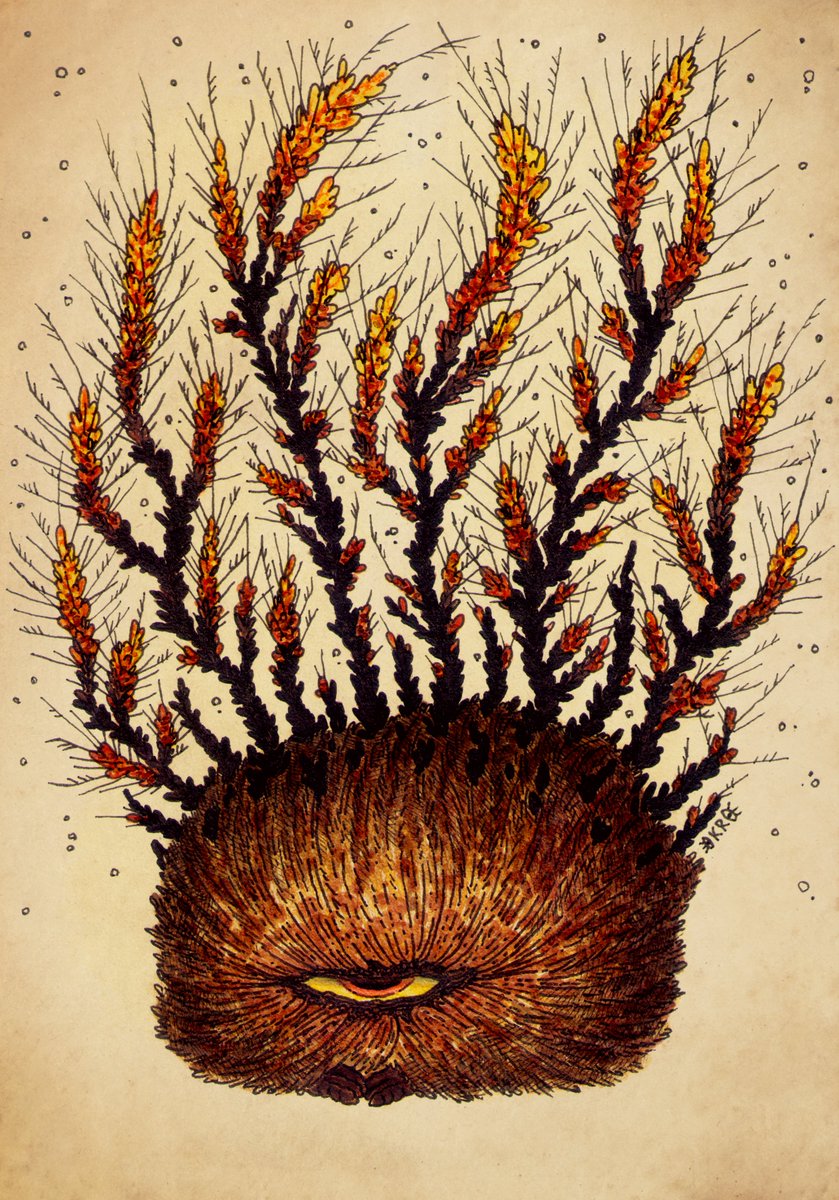 okro_co's tweet image. Living moss ✨

[repost]