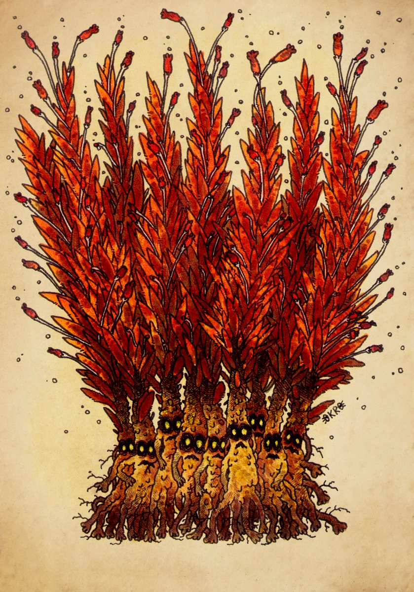 okro_co's tweet image. Living moss ✨

[repost]