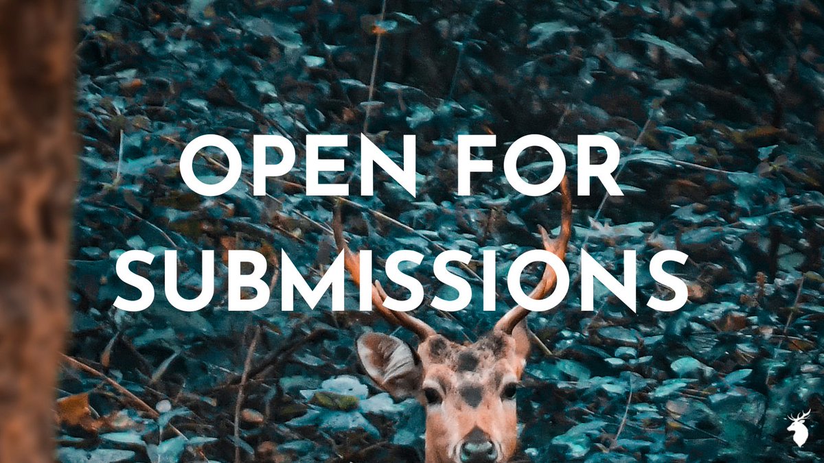wildhuntbooks's tweet photo. 🦌 Wild Hunt Books is open for submissions.
For T&C's and to submit your manuscript to us, visit: https://t.co/1789Hua2dR
#WritingCommunity #WritersLife #AmWriting #AmQuerying #AmEditing #WritersLift https://t.co/4w2sG9Q2s3