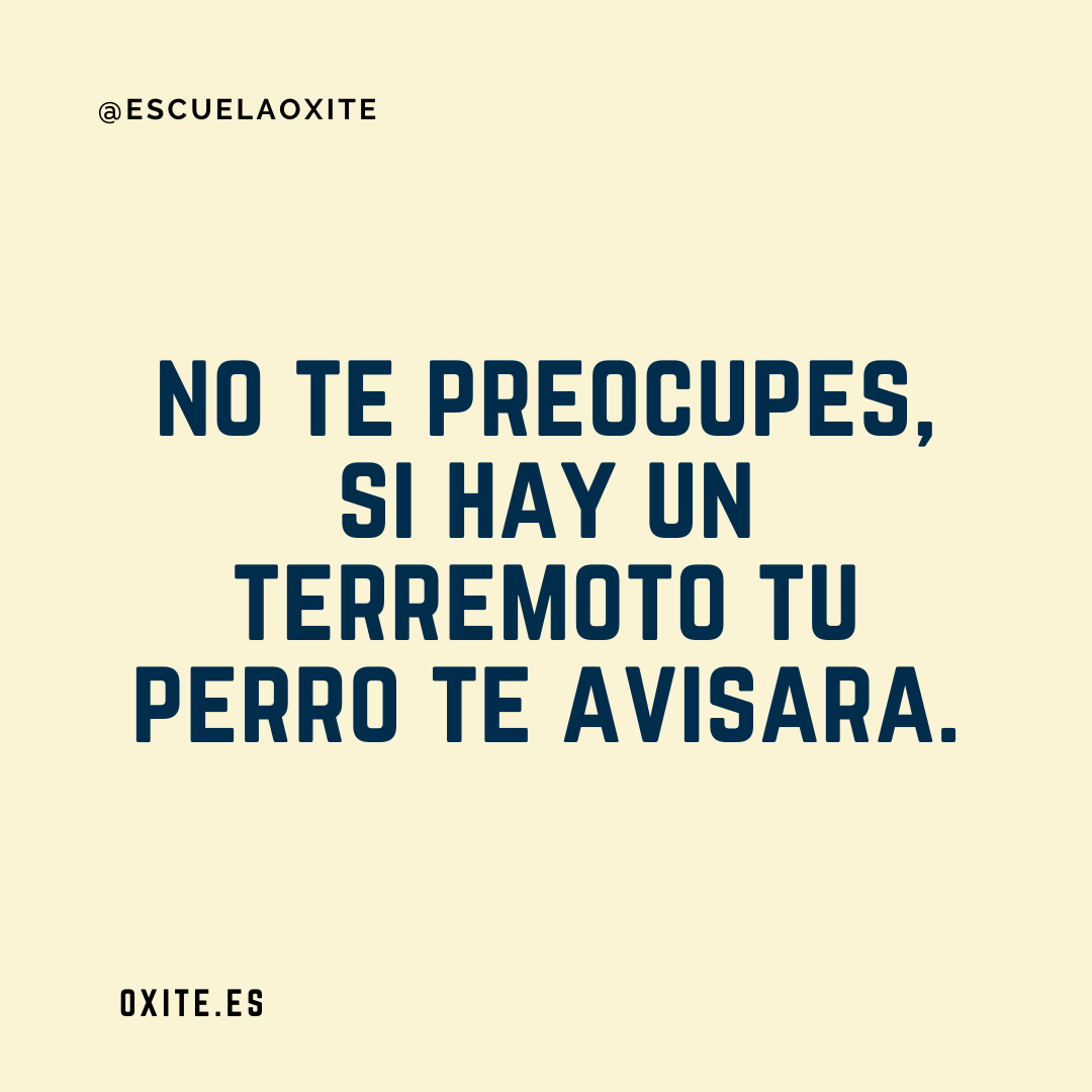 28tere28's tweet photo. No te preocupes, si hay un terremoto tu perro te avisará. https://t.co/tvBWEHPr5g