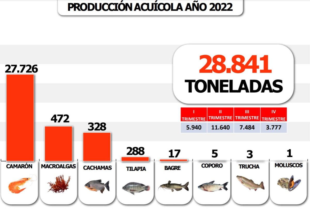 Hoy es el Día Mundial de la Acuicultura.
La posibilidad real de sembrar y producir "Peces y otros recursos".
En Venezuela el Comandante Chávez orientó y el Presidente <a href="/NicolasMaduro/">Nicolás Maduro</a> insiste en la importancia de la Acuicultura. Hemos ido avanzando y aún nos falta más!