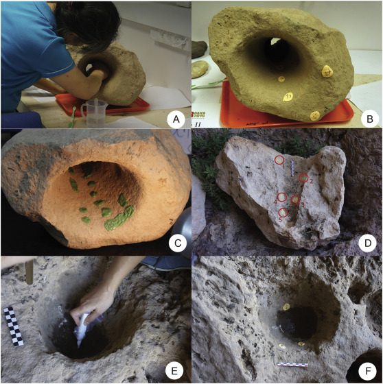 robertosaezm's tweet photo. "These innovations predated the appearance of domesticated cereals by several millennia in the Near East" 
Fermented beverage and food storage in 13,000 y-old stone mortars at Raqefet Cave, Israel: Investigating Natufian ritual feasting  https://t.co/7lNzT6bvxH https://t.co/NiDtc3mBmY