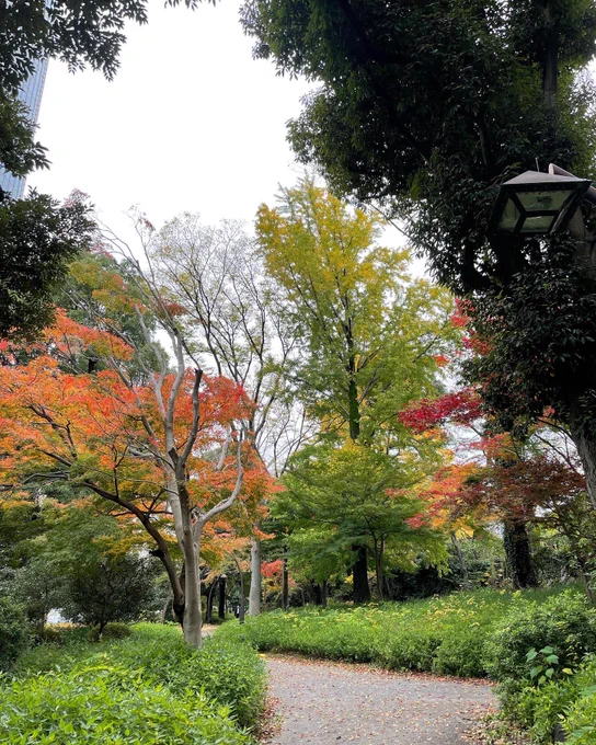 日比谷公園も紅葉。 